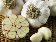 Factory Supplier Chinese Fresh Peeled Vacuum Nitrogen Barrels Garlic