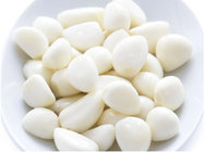 2019 wholesale white peeled garlic 6 cm fresh garlic