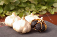 Chinses Factory Price Black Garlic with High Quality