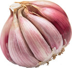 Red Fresh Garlic Red with Cheap Price