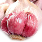 High Quality Fresh Red Garlic China Wholesale Garlic Price