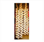 Bulk Braid Garlic For Sale