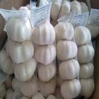 Fresh Garlic Price Braid Garlic For Sale