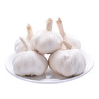Clean Normal White Garlic in Mesh Bag