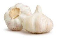 China all standards fresh normal/pure white fresh garlic 4 4.5 5.5 6cm for export