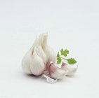 2019 New Crop Chinese Fresh Garlic