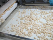 Fresh peeled garlic produced in China