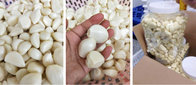 Export Good Quality Fresh Chinese Peeled Garlic
