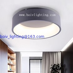 China Gray Bedroom Book Room Spray Paint  Acrylic For Ceilibg Lightings And Handelier supplier