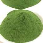 Sell Freeze Dried Spinach Powder Natural Additives