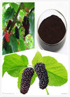 25% Anthocyanins, mulberry extract