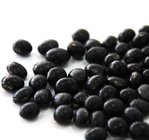 Black Soybean Hull Extract, Anthocyanidins 5%-25%, Anthocyanins 5%-30%