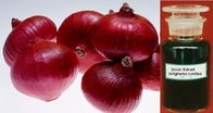 Onion Extract Allium Cepa Paste Extract Spiraeoside