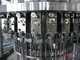 Automatic Carbonated Drink Filling Machine for 3 in 1 Filling machine Complete beverage filling machine supplier