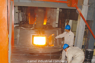 Camel Industrial Company Limited
