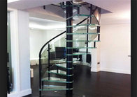 Indoor Modern Design glass spiral staircase with stainless steel balustrade