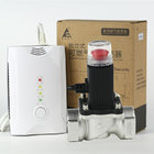 CO detector for home use with shutoff valve and European plug