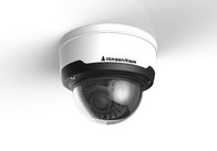 Newest H.265 4.0MP IP VANDAL-PROOF DOME CAMERA with 2.8-12mm VF Lens