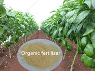 Compound No Caking Amino Acid Fertilizer 50% Organic Classification