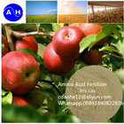 Vegetable Amino Acids Powder 50% Soil Nutrient