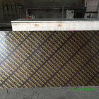 Combi core Film Faced Plywood for Building Construction