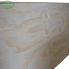 Pine veneer commercial plywood external plywood sheets
