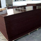 Construction use 18mm phenolic film faced plywood film faced shuttering ply
