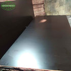 Construction use 18mm phenolic faced plywood black film faced plywood