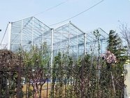 Glass Greenhouse for griculture Vegetables hydroponic systems equipment Multi-Span Glass