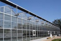 Agricultural/Commercial/Industrial Plastic Multi-Span Film Greenhouse with Hydroponic System