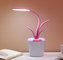 USB Rechargeable LED Desk Eye-protecting Kaffir Lily Reading Lamp For Children