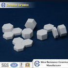 China Manufacturer Supplied Alumina Ceramic Hexagonal Sheet as Wear Resistant Liners