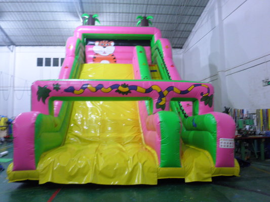 Cheer Amusement Children Inflatable Slide