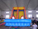 Inflatable Water Slides, Giant Beach Slide with Wooden Stairs, Hippo Slide