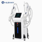 Perfect effect 4 hadles multifunction vertical kryolipolyse device for whole body slimming