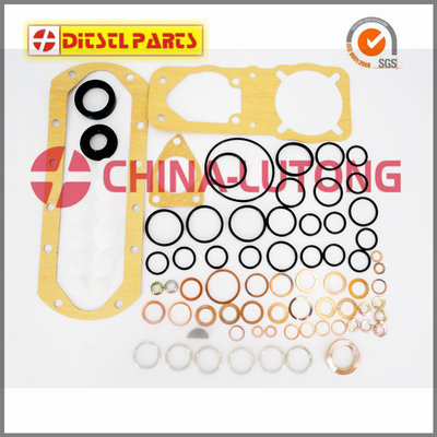 China Repair Kits for VE pump-Toyota Fuel Injector Rebuild Kit supplier