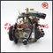 Injection Pump Nj-Ve4/11e1800L047 for JAC 493\4da1-1b-Ve Diesel Fuel Pump supplier