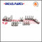 Diesel Nozzle- Delphi fuel Injector nozzle Oem 6801024 supplier