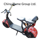 1000W Electric Scooter with F/R Suspension, 2 Seats