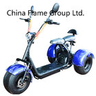 Original Factory Trike Harley Citycoco Electric Scooter with Removable Battery  60V/20ah/30ah lithium battery
