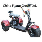 3 Wheel Motor Scooter with 1000W 60V/20ah   lithium battery ,F/R suspension