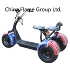 Citycoco Harley Scooter with Bluetooth 1000W 60V/12ah  60V/12ah 60V/30ah   lithium battery F/R suspension