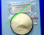 Athletes CAS 57-85-2 Healthy Oral Anabolic Steriods Testosterone Propionate