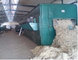 wool washing machine， Large 5 wash trough wool washing machine，Assembly line wool washing machine supplier