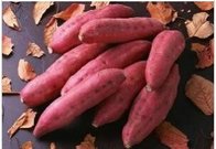 Best buy China bean thread Longkou vermicelli  fitness healthy handmade sweet potato ve