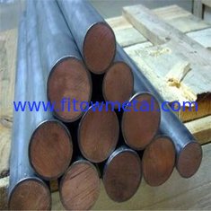 China Manufacturers Low Pric Titanium Clad Copper Rod/Bar For Electrolytic Industry For Hot Sale supplier