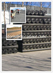 China Hot sale geogrid supplier