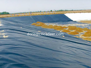 China pond plastic hdpe geomembrane liner supplier