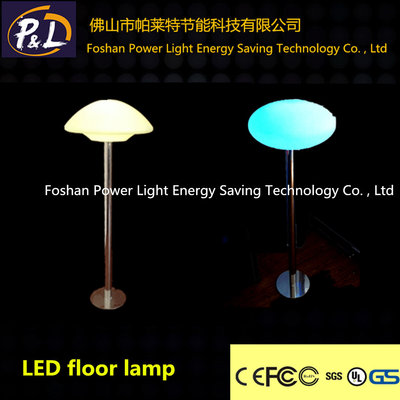 Indoor LED Decoration Floor Lamp for Home Decoration