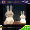 Holiday Decoration Light LED Easter Bunny Rabbit Lamp